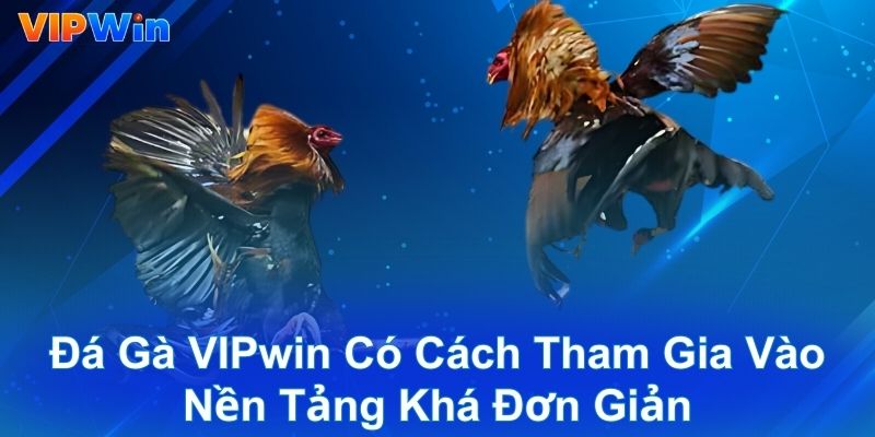 Đá gà VIPwin có cách tham gia vào nền tảng khá đơn giản